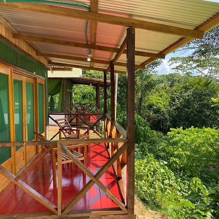 Amazon Acai Lodge Leticia Zewnętrze zdjęcie