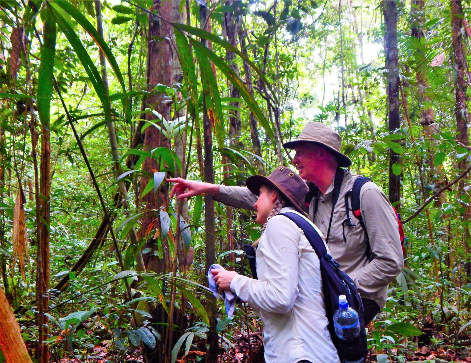 Amazon Acai Lodge Leticia Zewnętrze zdjęcie