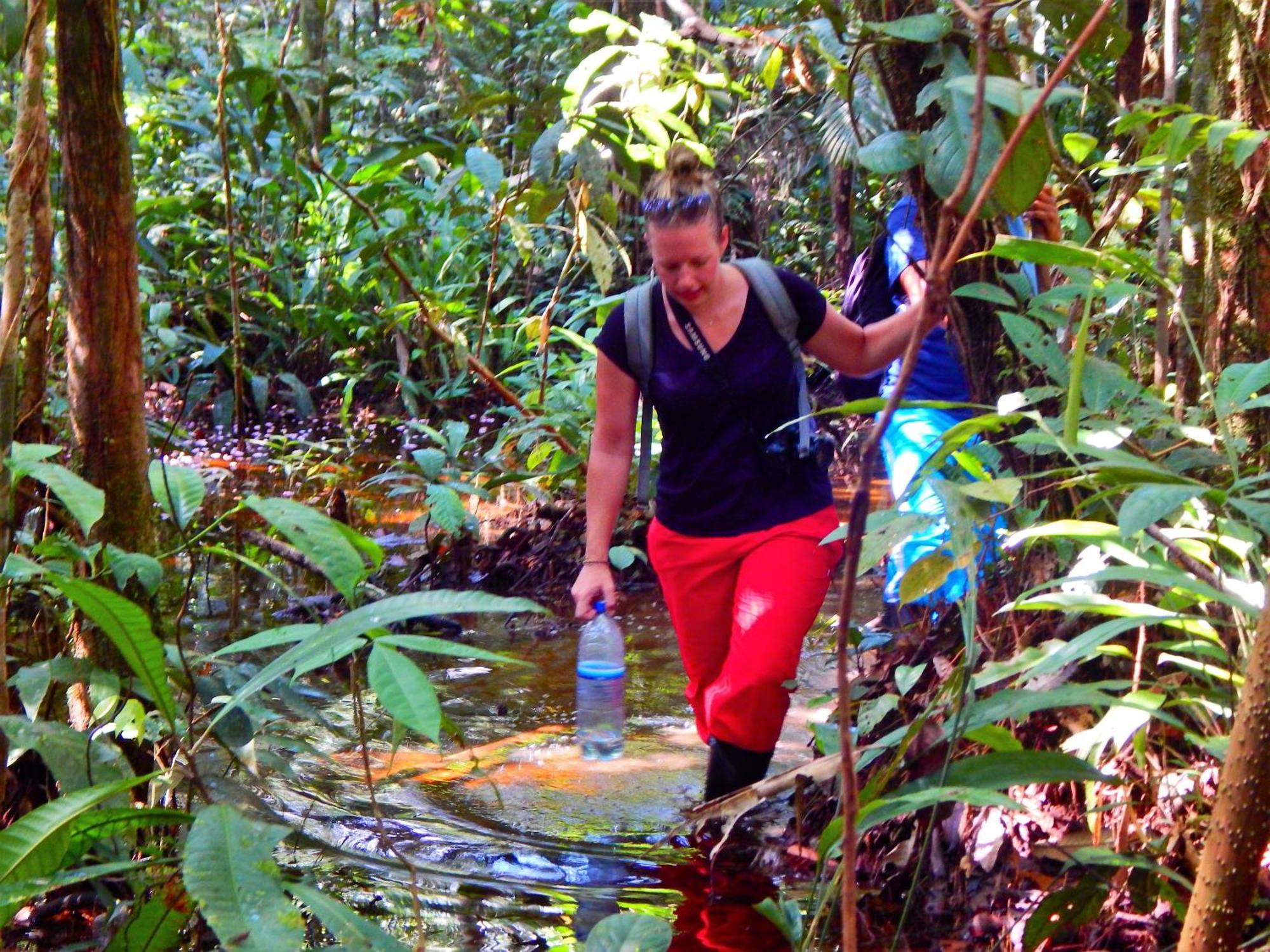 Amazon Acai Lodge Leticia Zewnętrze zdjęcie