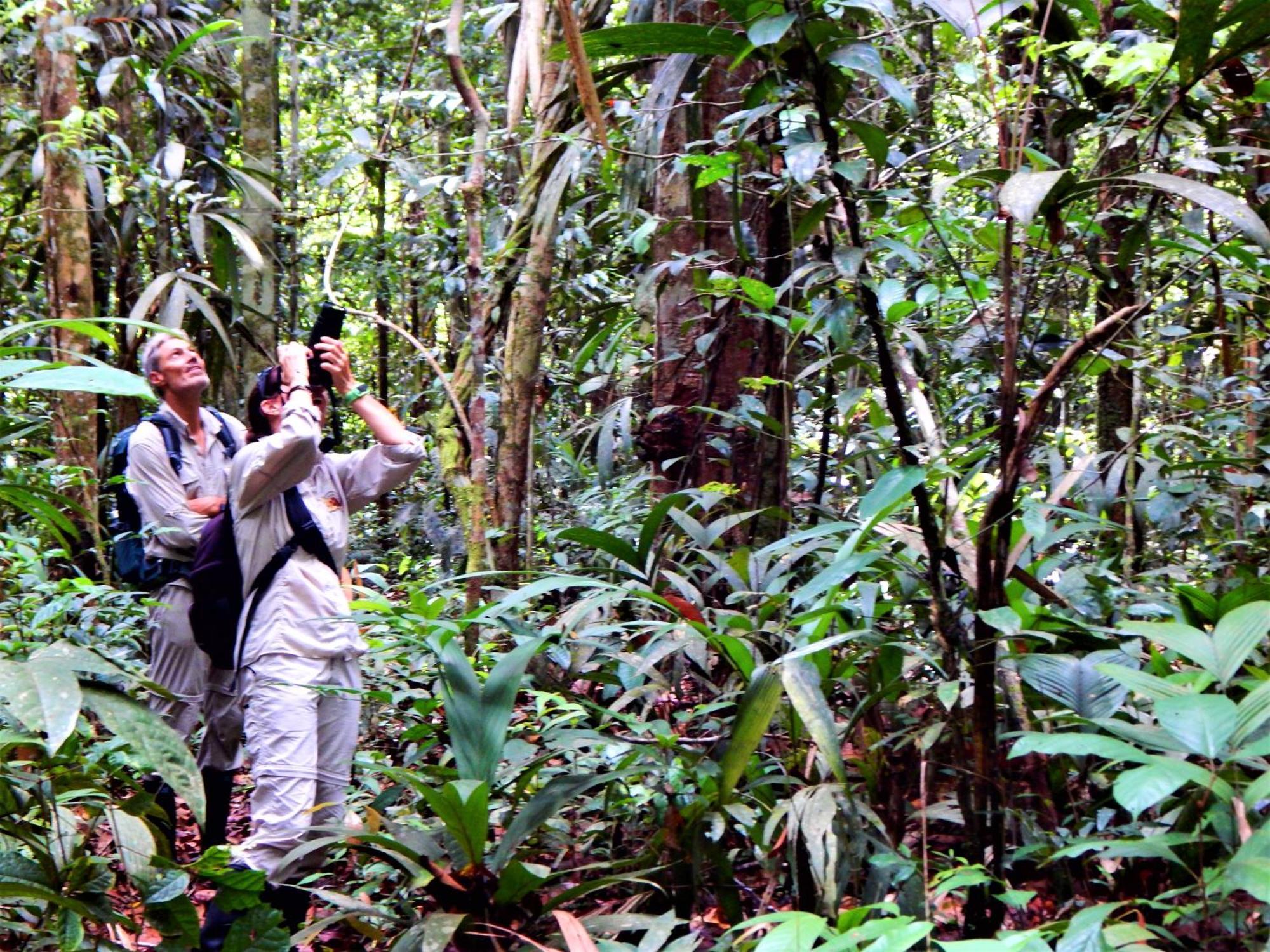 Amazon Acai Lodge Leticia Zewnętrze zdjęcie