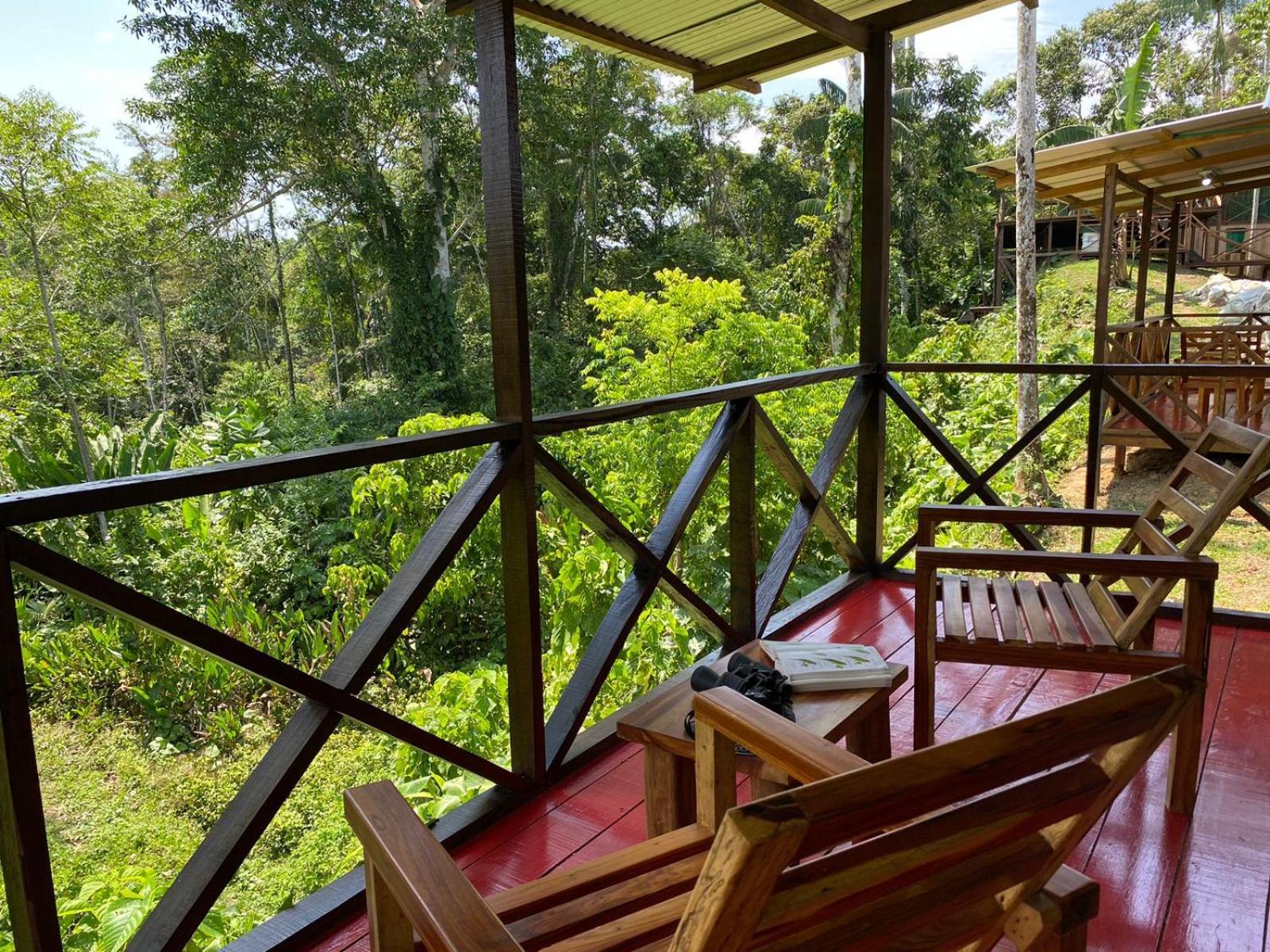 Amazon Acai Lodge Leticia Zewnętrze zdjęcie