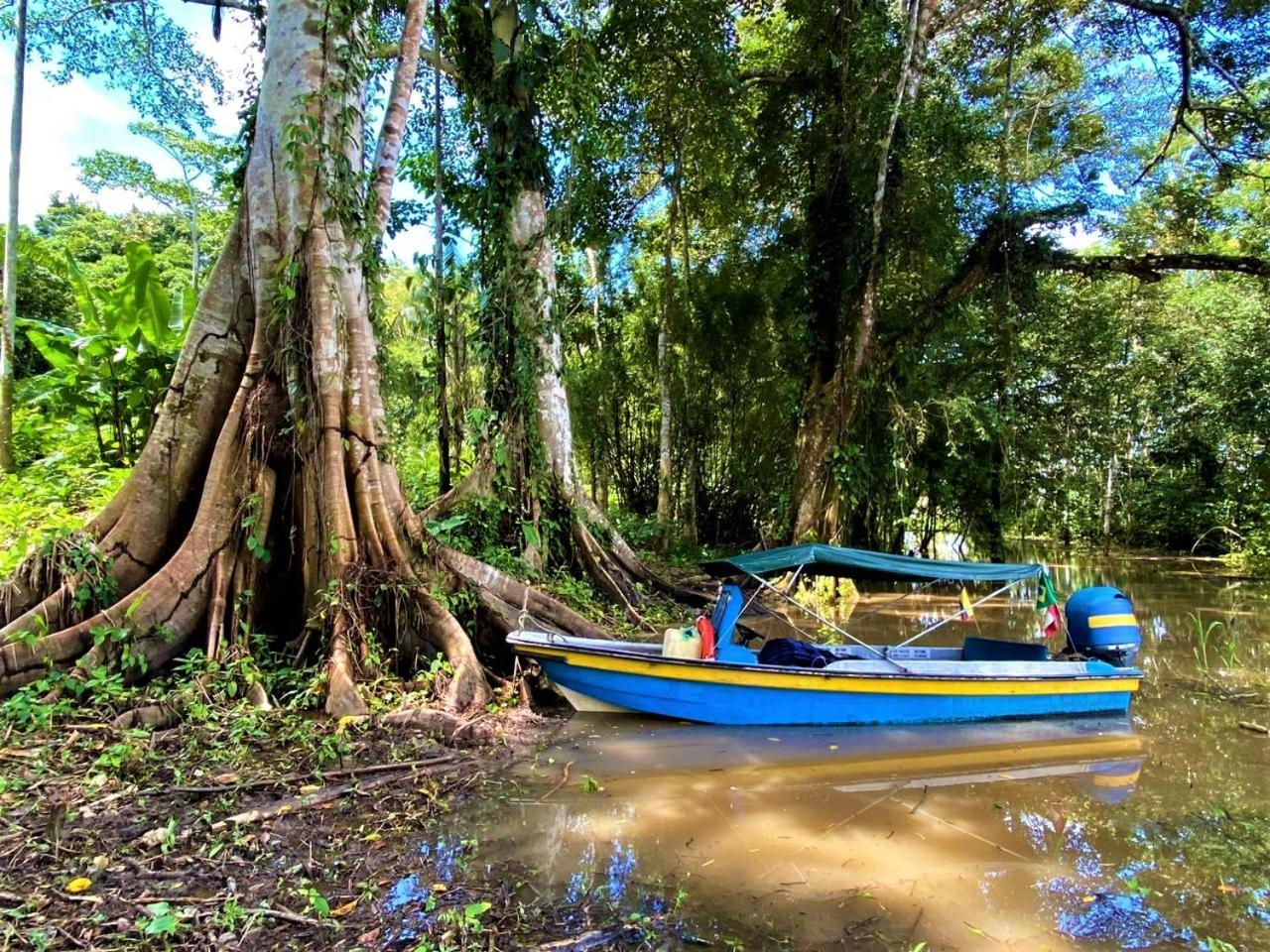 Amazon Acai Lodge Leticia Zewnętrze zdjęcie