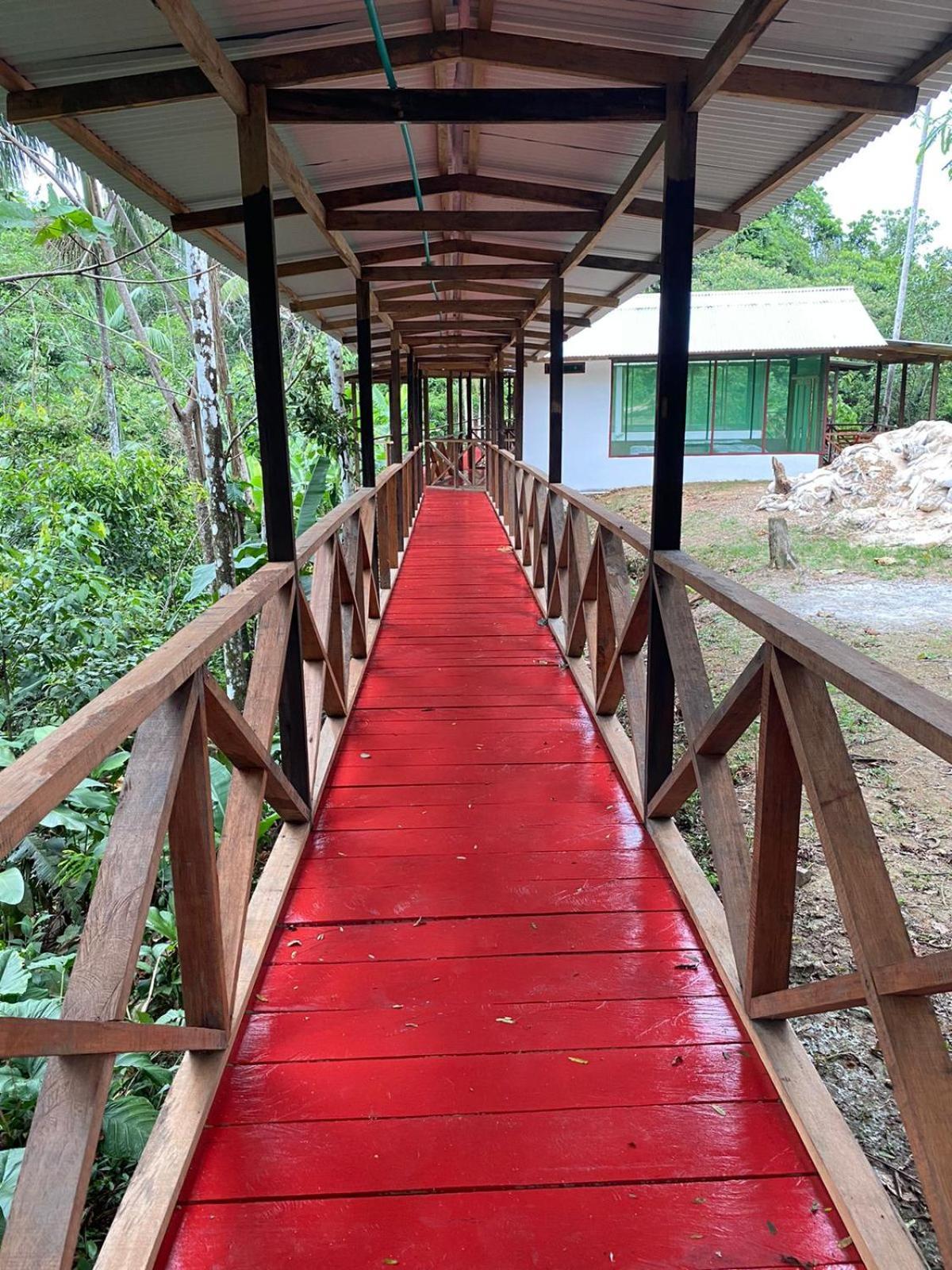 Amazon Acai Lodge Leticia Zewnętrze zdjęcie