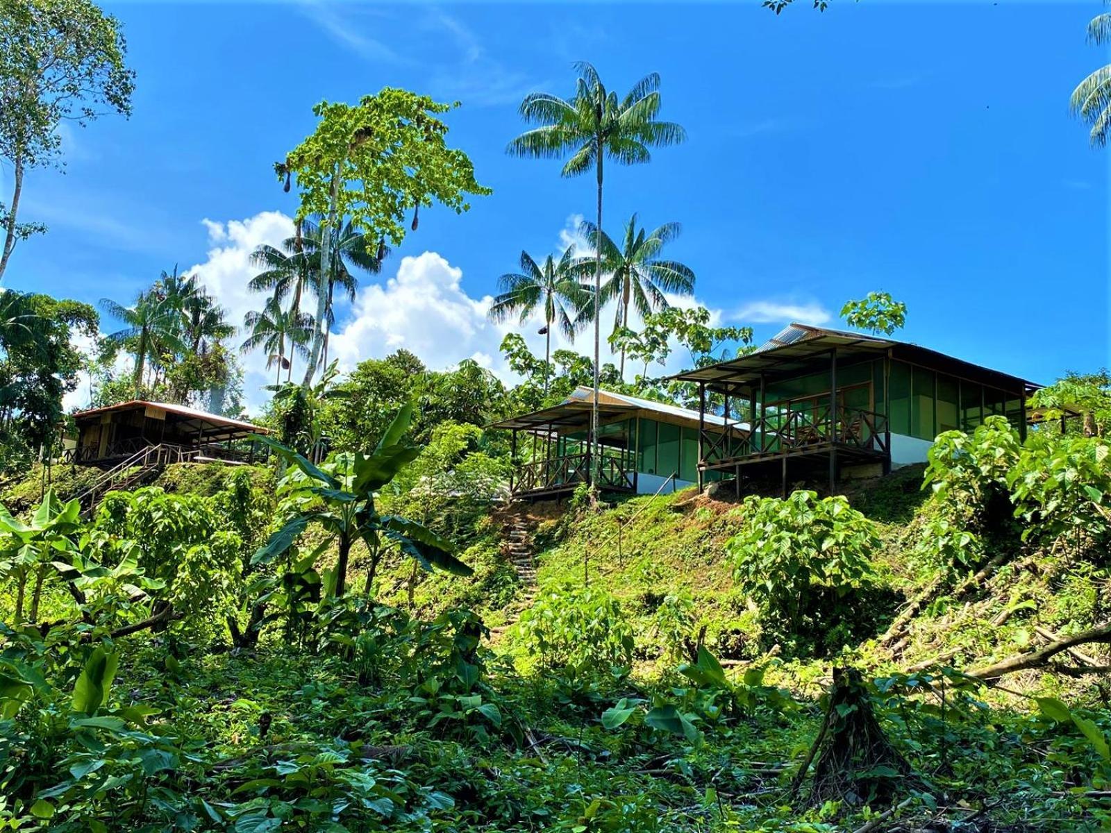 Amazon Acai Lodge Leticia Zewnętrze zdjęcie